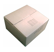 UTP305M/Cat5CCA